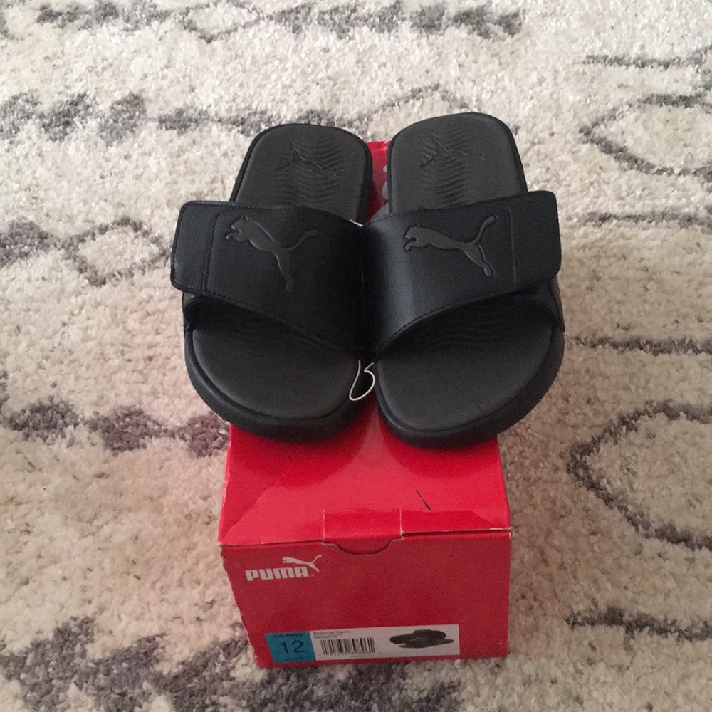 Puma slides